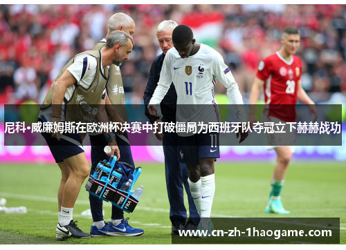 尼科·威廉姆斯在欧洲杯决赛中打破僵局为西班牙队夺冠立下赫赫战功